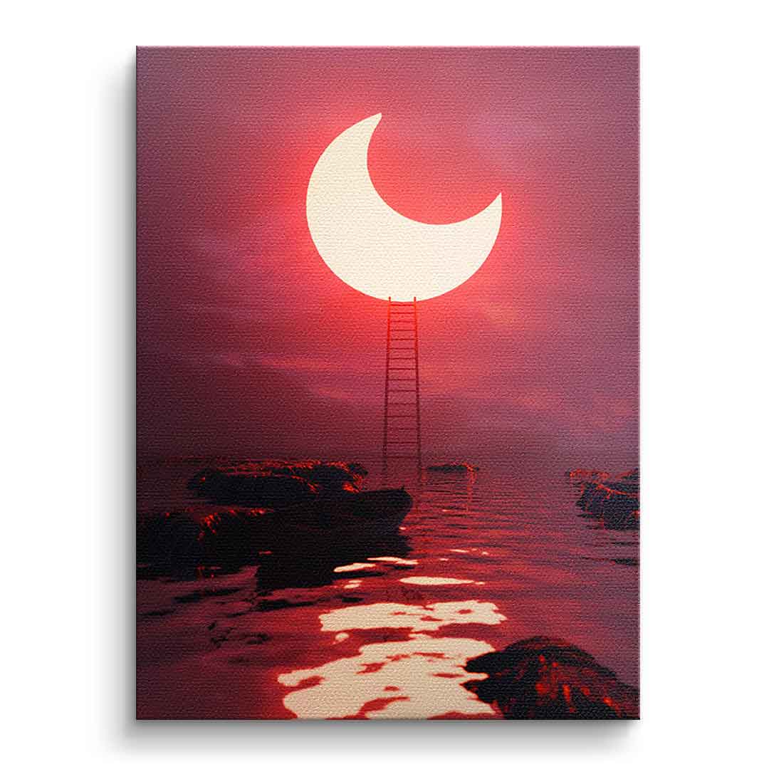 Canvas A New Light