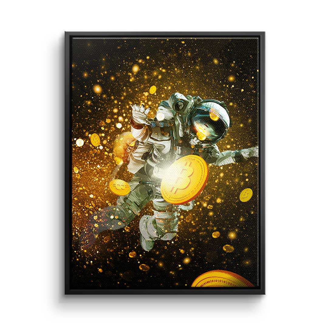 Canvas Fly Like a Bitcoin
