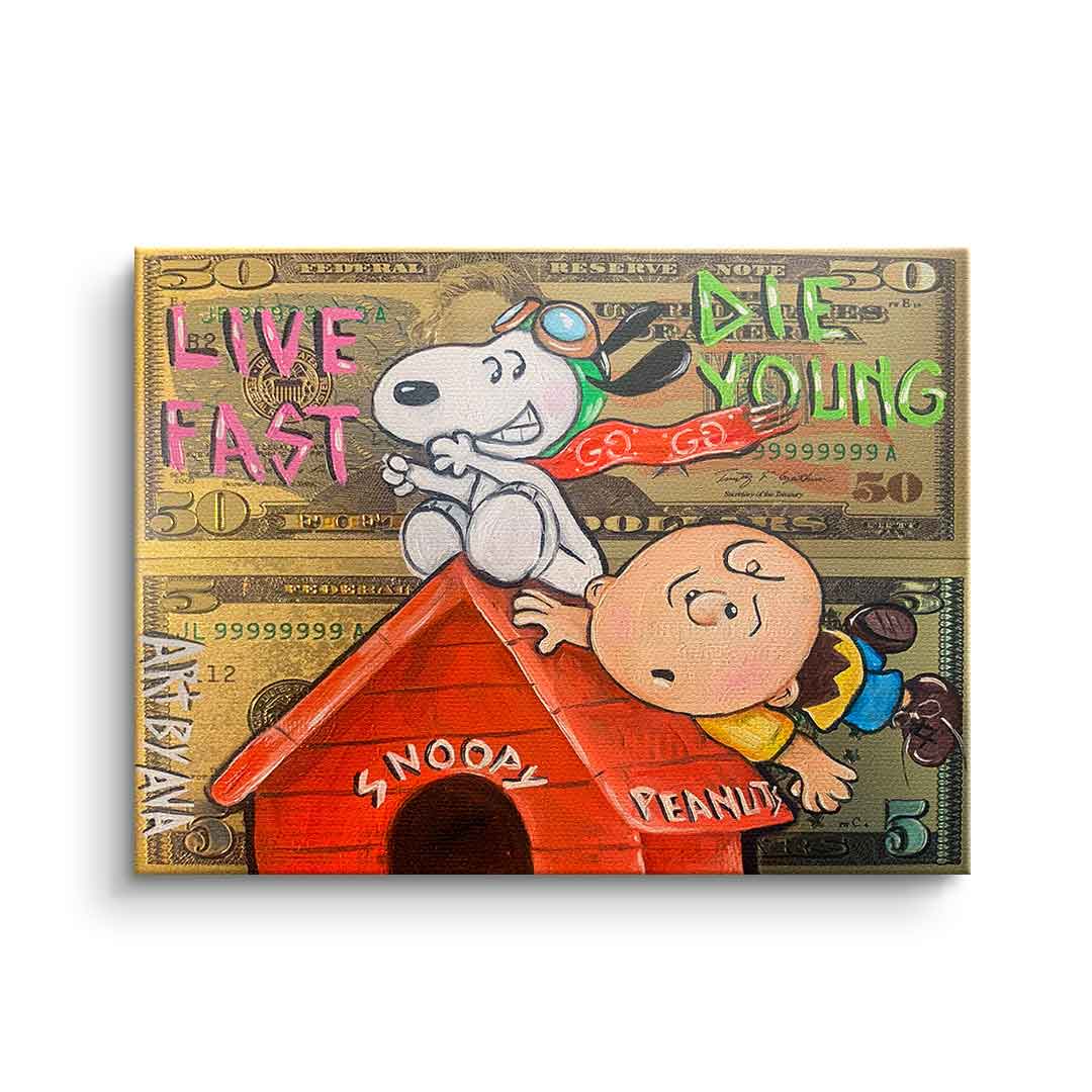 Canvas Flying Peanuts