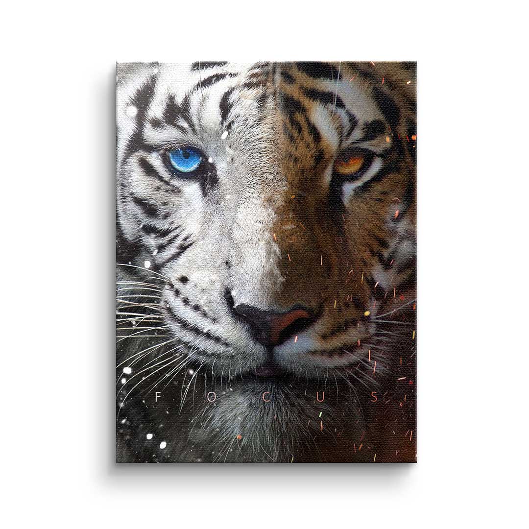 Canvas Focus Face