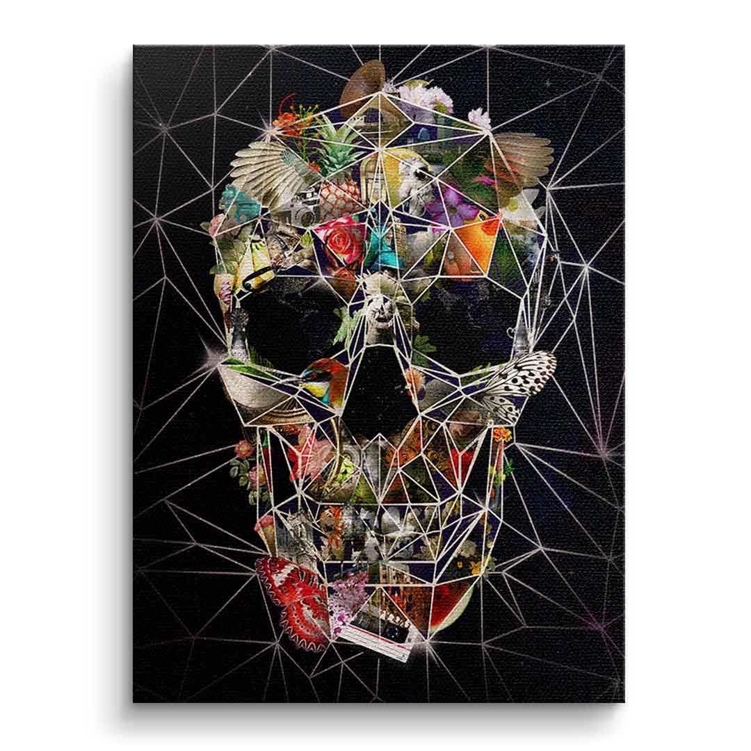 Canvas Fragile