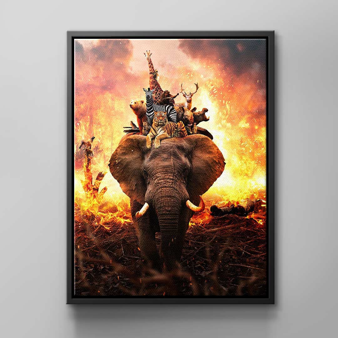 Canvas Hard Animal Life