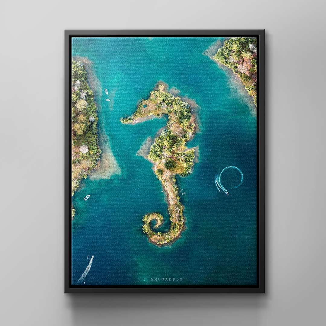 Canvas Seepferdchen