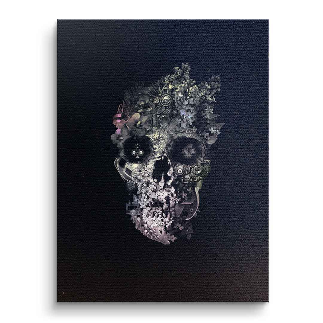 Canvas Metamorphosis