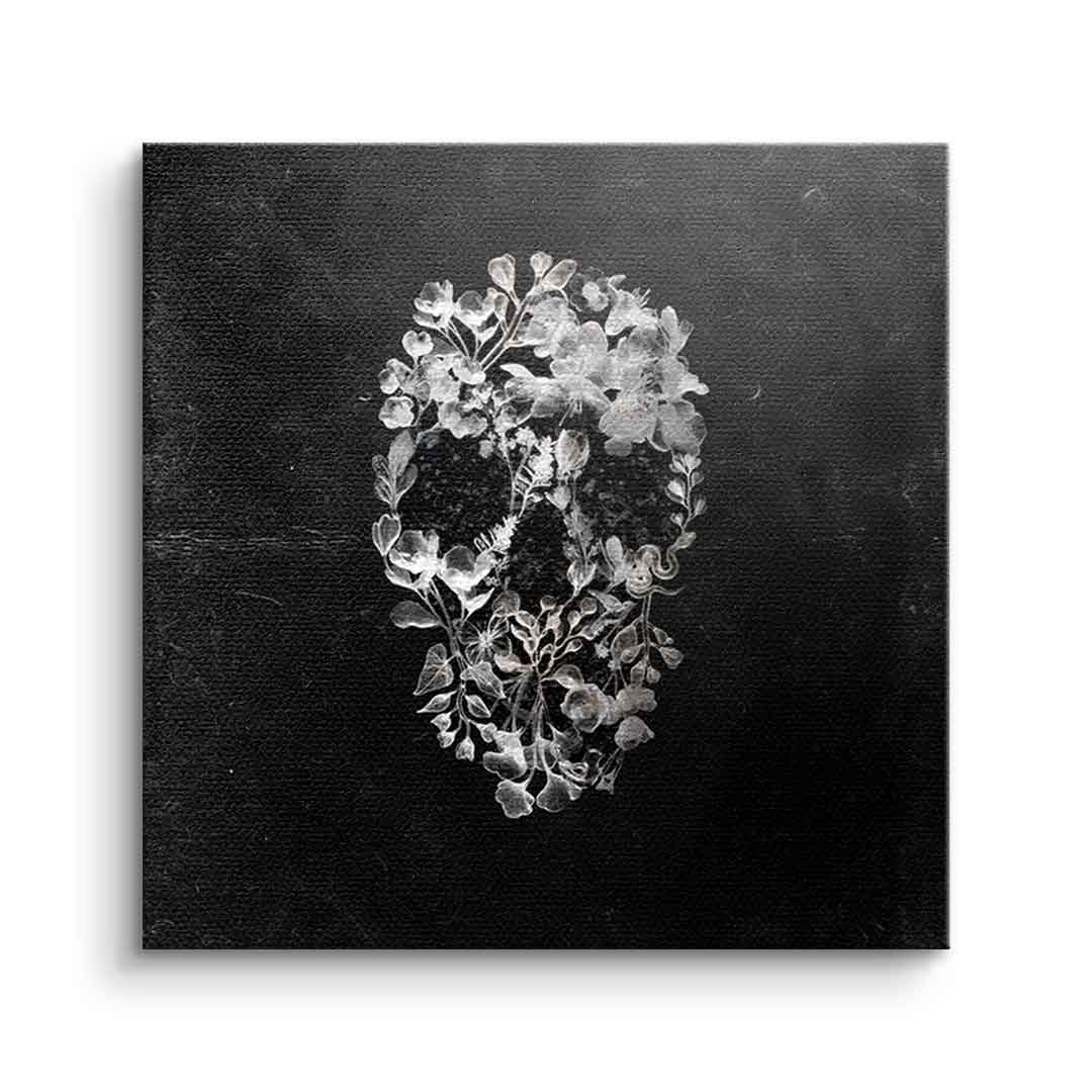 Canvas Glass Skull
