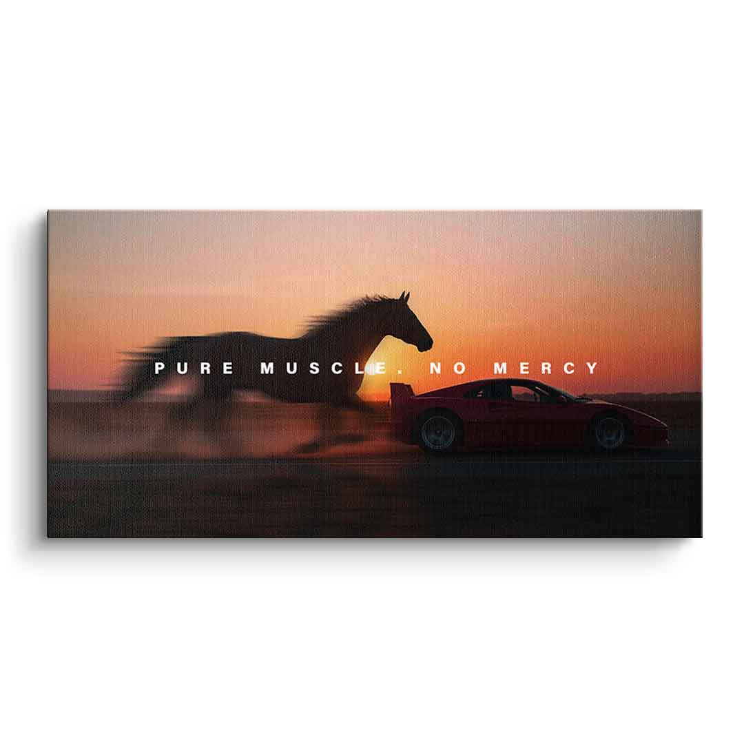 Canvas Pure Muscle