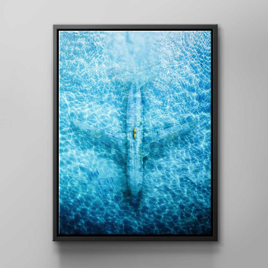 Canvas Underwater Plane