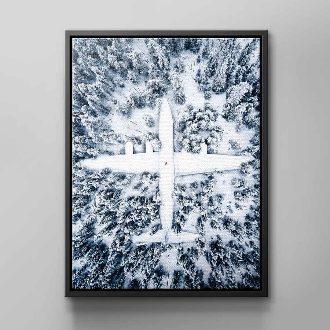 Canvas Winter Plane